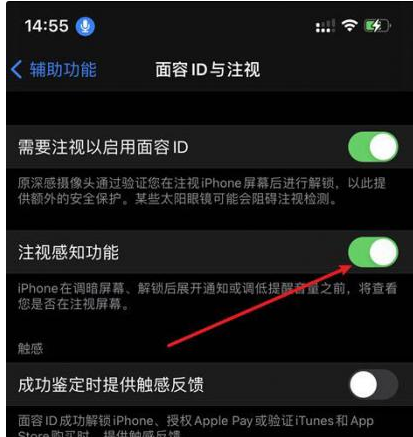 雷州苹果14维修网点分享iPhone14注视感知功能有什么用 